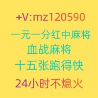 今日财金24小时红中麻将群@2024已更新小红书