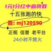 笑而不语正规红中24小时一元麻将2024已更